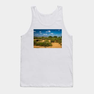 Criollo Cattle on the Open Range Tank Top